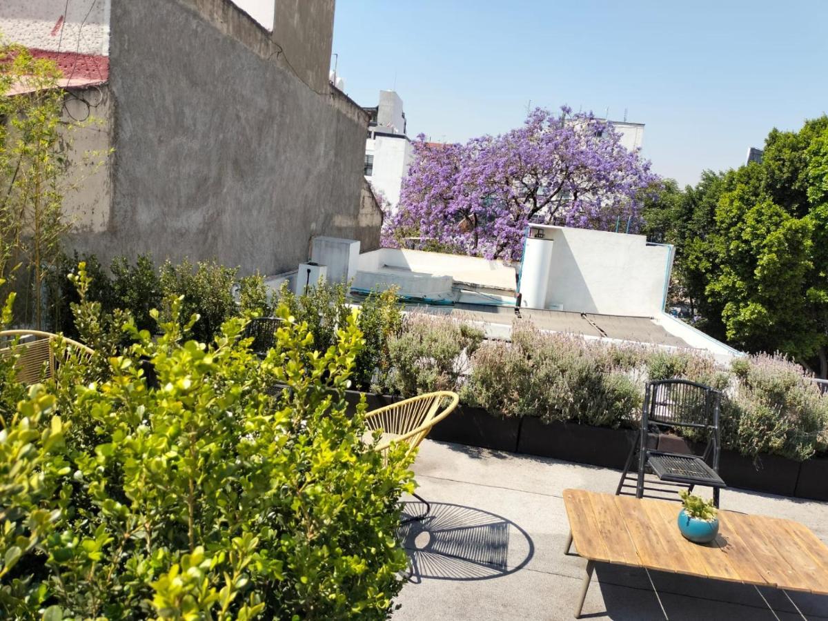 ホテル Casa Pani メキシコシティ エクステリア 写真